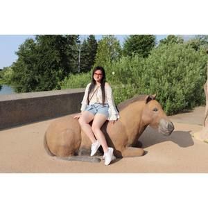 Meet your Posher, Ting